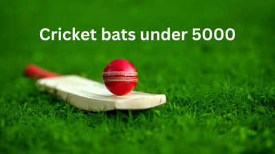 Cricket bats under 5000: Sturdy and premium picks for your games