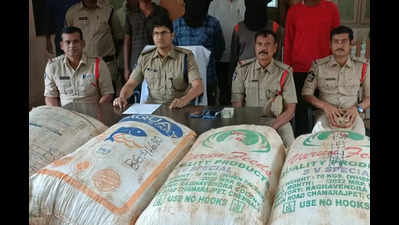 1.4 ton ganja seized by police in Andhra Pradesh's Annavaram town, 2 held