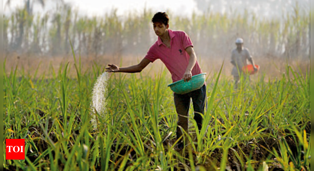  Govt flags spike in urea use, but will bear subsidy burden | India News - Times of India
