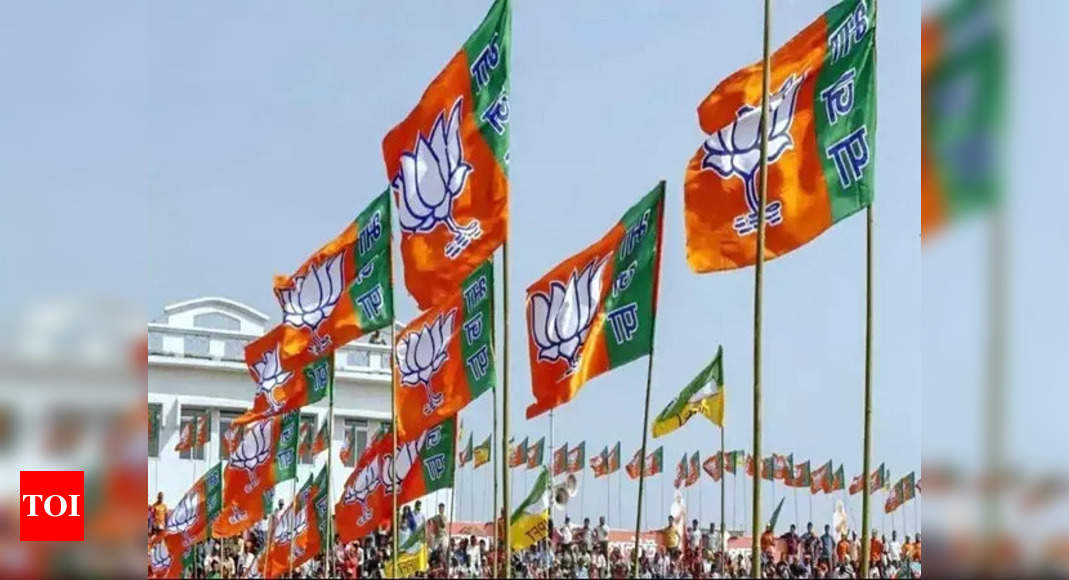 After Madhya Pradesh, BJP may field big guns in Rajasthan, Chhattisgarh and Telangana assembly elections