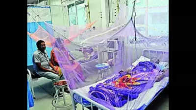 Bihar registers 275 new dengue cases