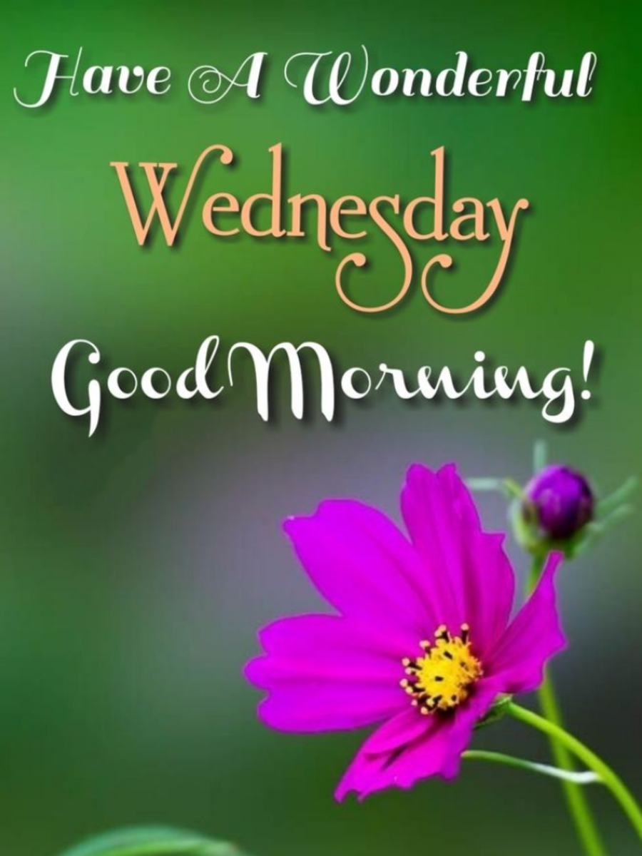 7 Happy Wednesday WhatsApp Messages, Good Morning Greetings, Images ...