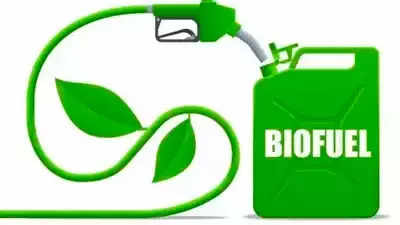 Global Biofuel Alliance: India’s big multi-billion dollars biofuels’ bet explained - watch video