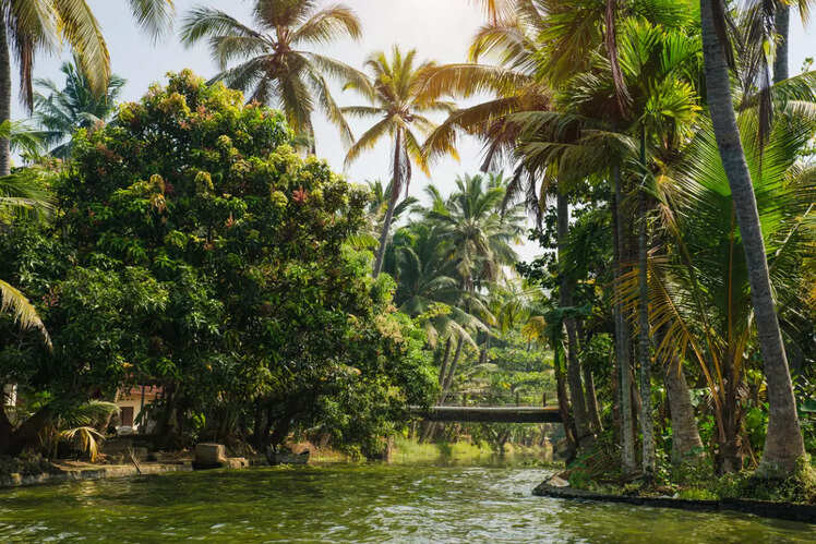 Palakkad