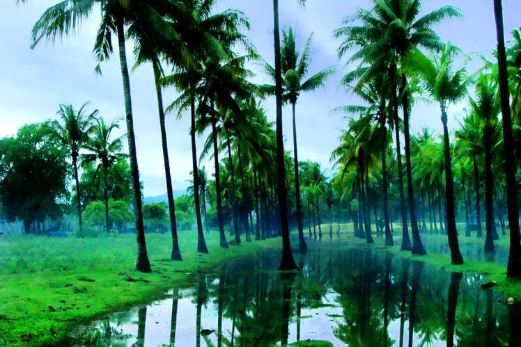 Kottayam