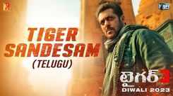 Tiger 3 - Official Telugu Teaser