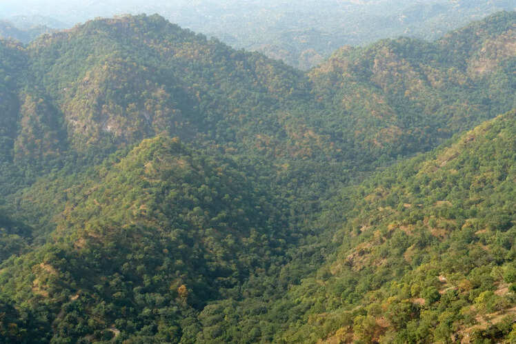 Kumbhalgarh Wildlife Sanctuary