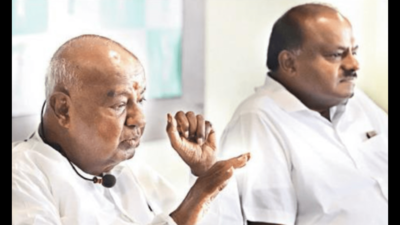 I’m committed to protecting minorities’ interests: Gowda
