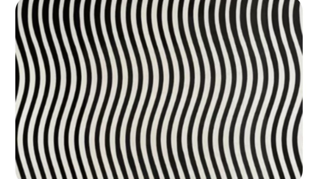 Optical Illusion: Viral Optical Illusion: Can you spot a woman's face among  these lines?