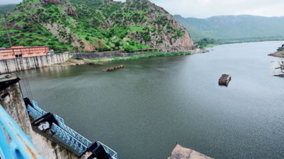 Greens warn govt of consequences over leasing islands in 2 Rajasthan dams