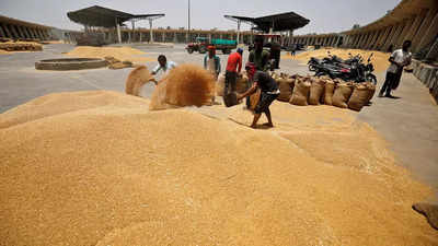 How 100kg seeds from Mexico made India a wheat basket