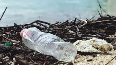 US adopts plan to phase out single-use plastics at national parks