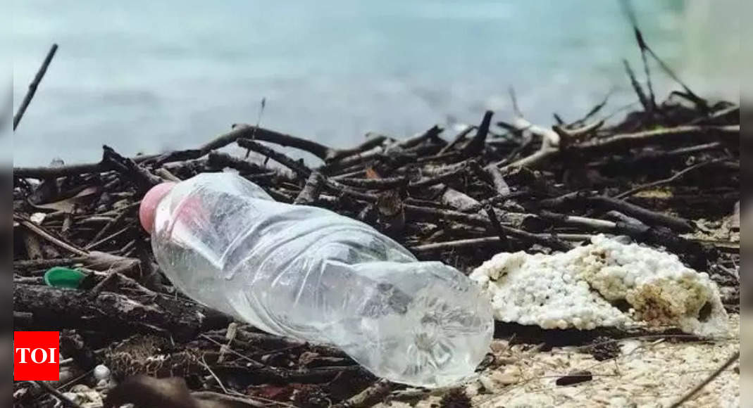 US adopts plan to phase out single-use plastics at national parks – Times of India