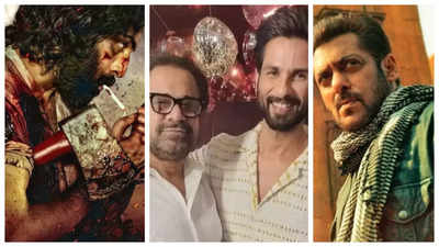 Ranbir Kapoor's 'Animal', Salman Khan's 'Tiger 3', Shahid Kapoor's next with Anees Bazmee: TOP 5 newsmakers of the week