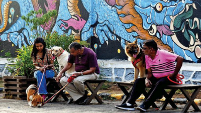 Pet dog registration mulled in Goa to boost responsible ownership, public safety