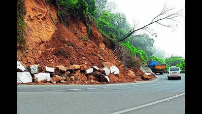 Why cut slopes in the Nilgiris, activists ask highway officials