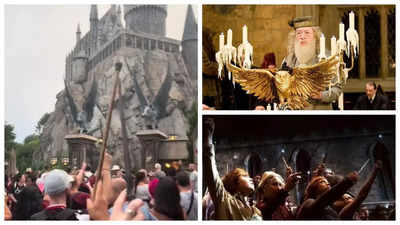 Harry Potter fans honour Michael Gambon as they recreate moving wand tribute to Dumbledore at Hogwarts - WATCH