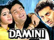 
Meenakshi Seshadri says she appreciated Rishi Kapoor more than Sunny Deol in Damini: He has fleshed out that part

