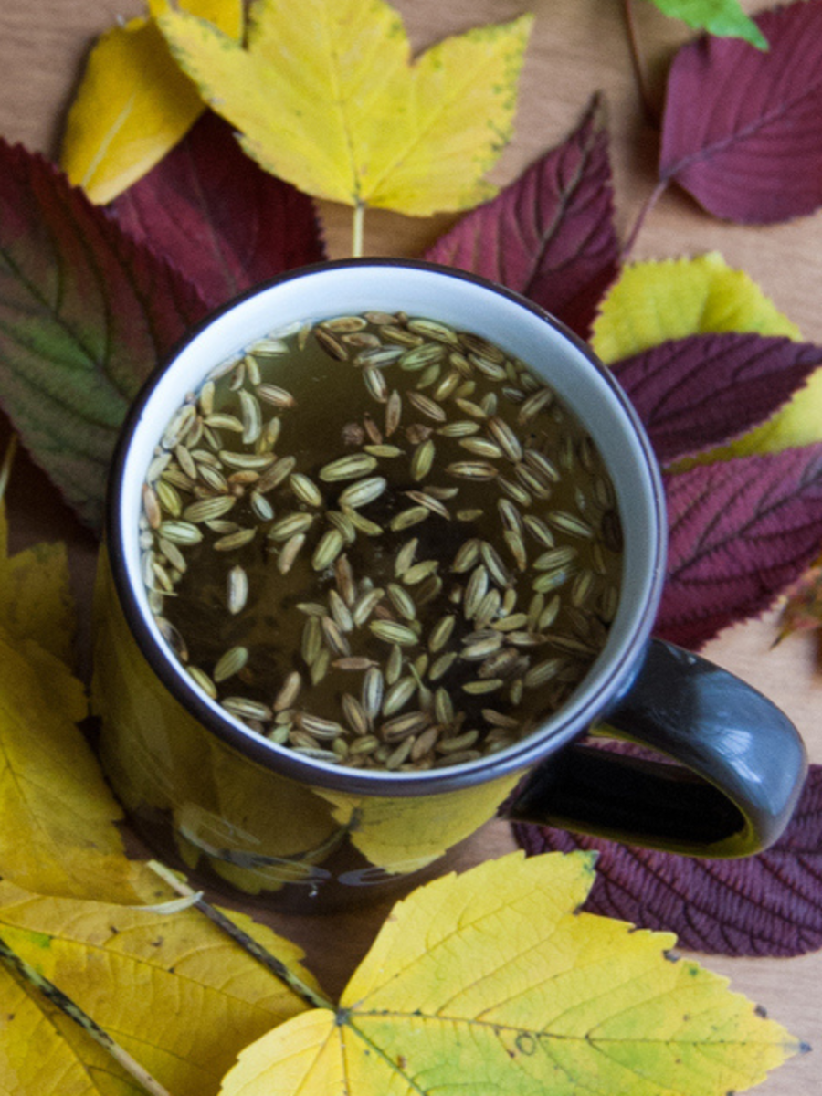 Saunfajwain water Best morning drink with weight loss benefits Times of India