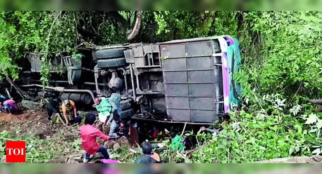 Tamil Nadu Nilgiris Bus Accident: 8 Killed, Several Injured As Bus