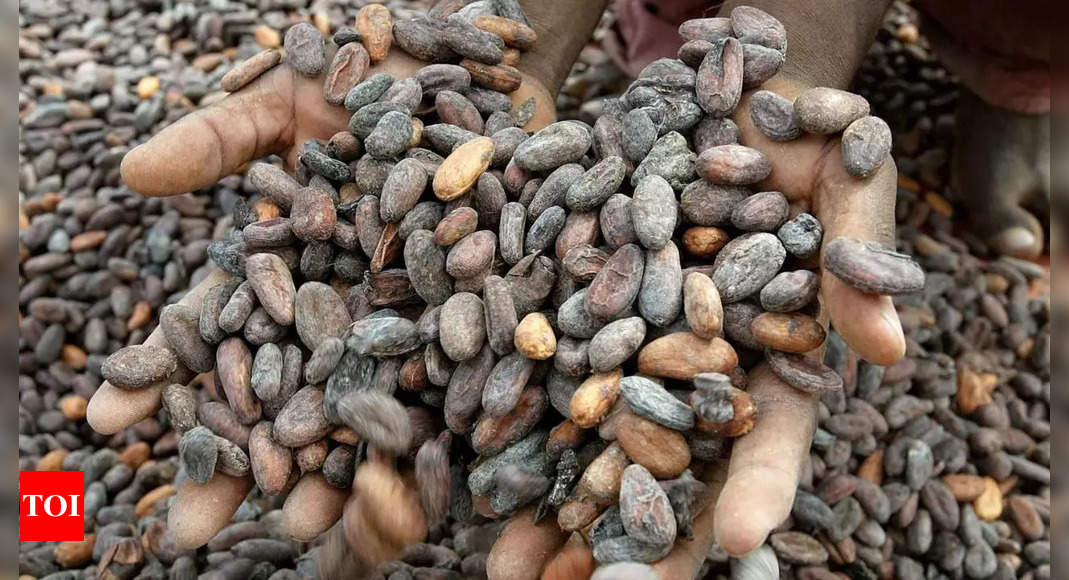 'India emerging market for cocoa, should become inter-govt body'
