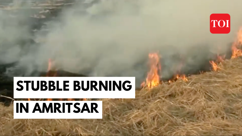 Delhi pollution scare: Farmers in Punjab burn stubble, say they have no ...