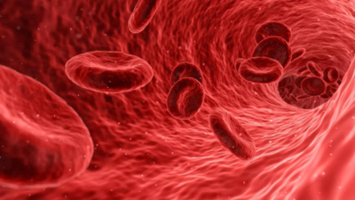 Study provides more information on how diabetes can accelerate the growth of blood cancer