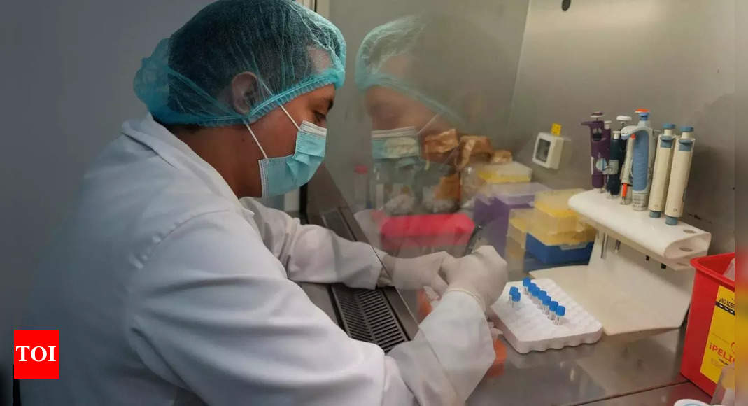 Vaccination : la France va vacciner des millions de canards contre la grippe aviaire