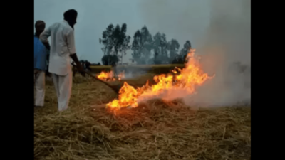 Farm stubble burning continues in Punjab, 119 cases reported in a day