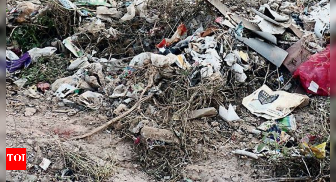 Sanitation Services: New Sanitation Firms Take Charge, Waste Mounds ...