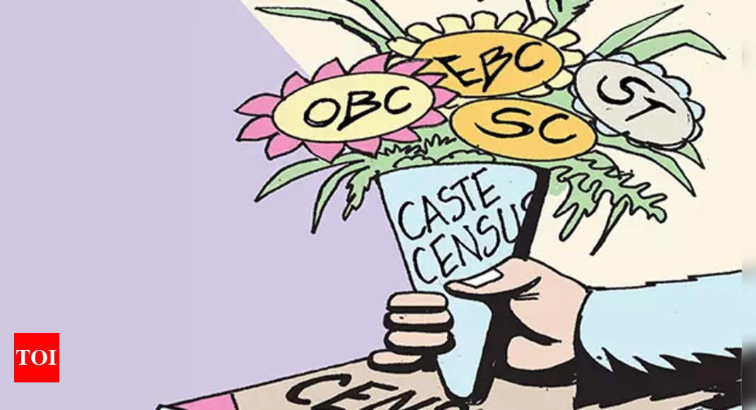 Ebc Why Caste Census Has Become BJP S Biggest 2024 Challenge India   Photo 