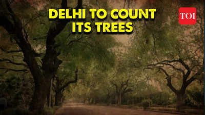 Delhi's Tree Census: A green milestone for environmental preservation