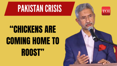 Pakistan Crisis: What exactly did EAM Jaishankar mean by 'Multiple chickens are coming home to roost'