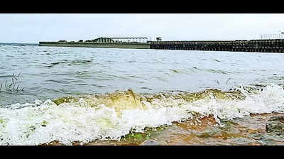 Rain in Kodagu pushes up inflow into KRS dam