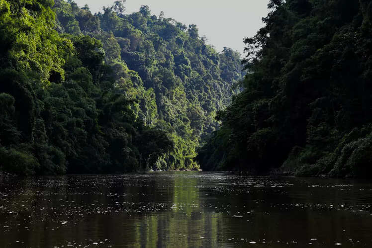 Tripura