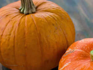 5Best Pumpkin Spice Recipes to Try This October 5Best Pumpkin Spice Recipes to Try This October