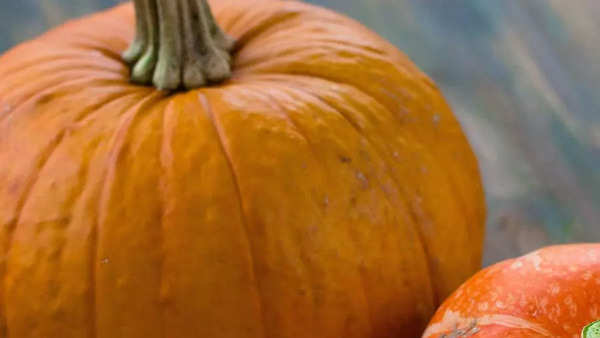 5Best Pumpkin Spice Recipes to Try This October