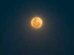 New Moon 