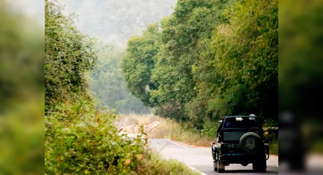 Uttarakhand Binsar Forest Sanctuary likely to offer bike riding and