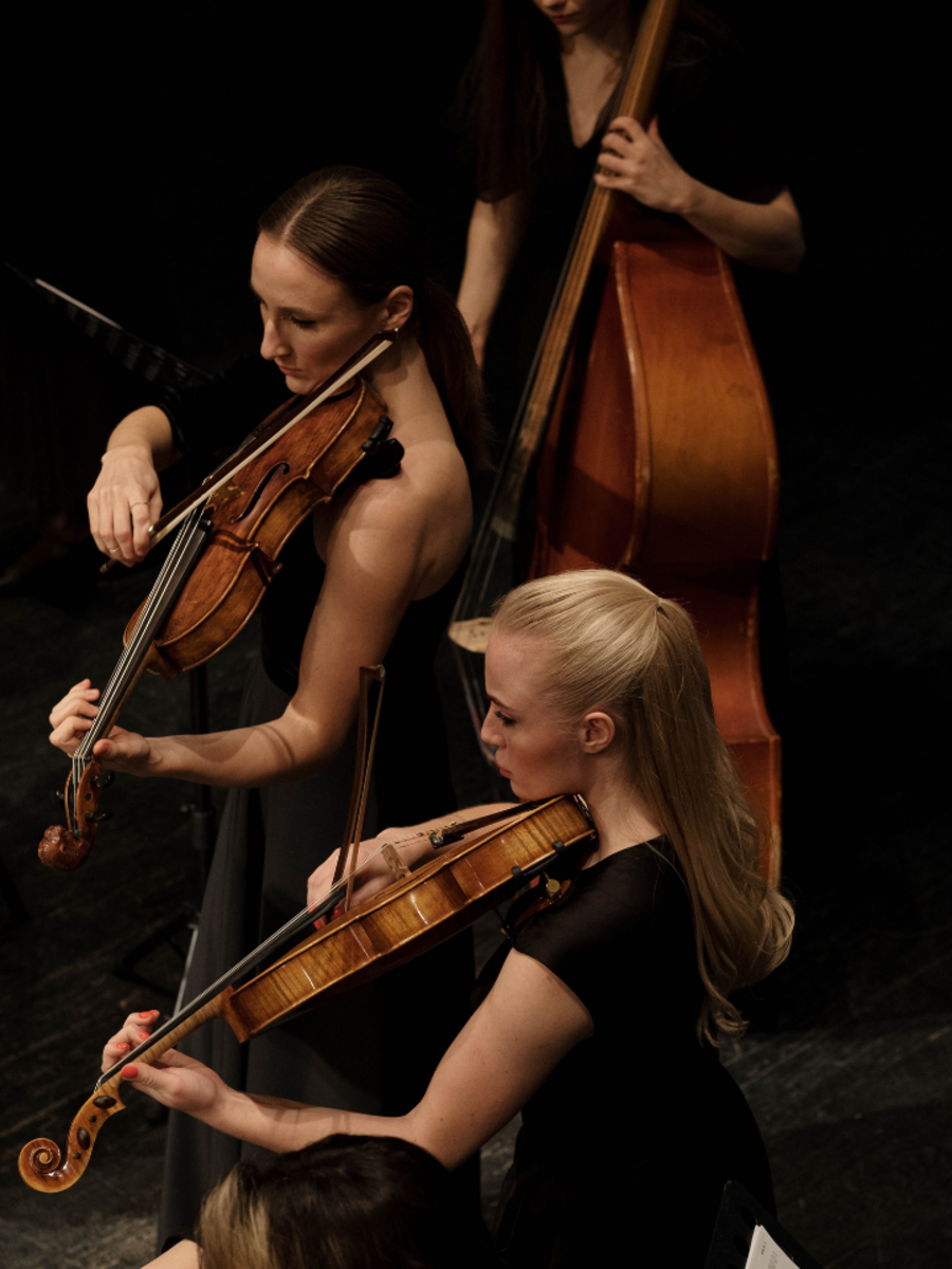 Zodiac Signs as Musical Instruments Times Now