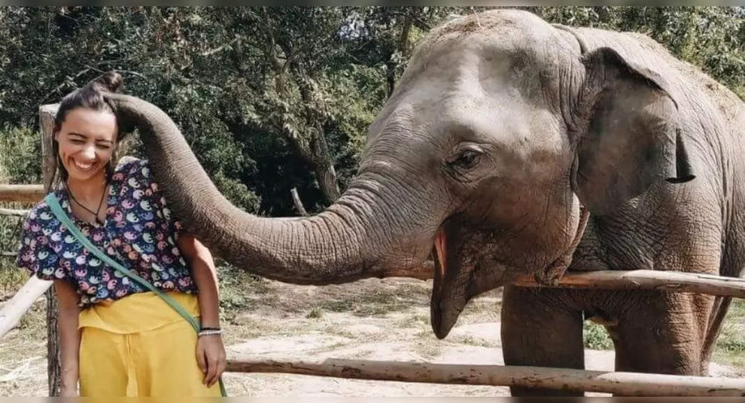 Thailand: Elephant Rescue Sanctuary in Chiang Mai, where compassion ...