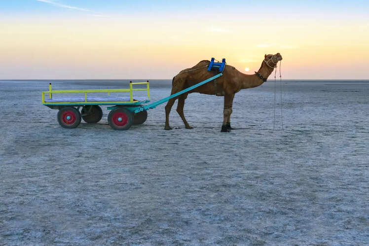 Rann of Kutch, Gujarat