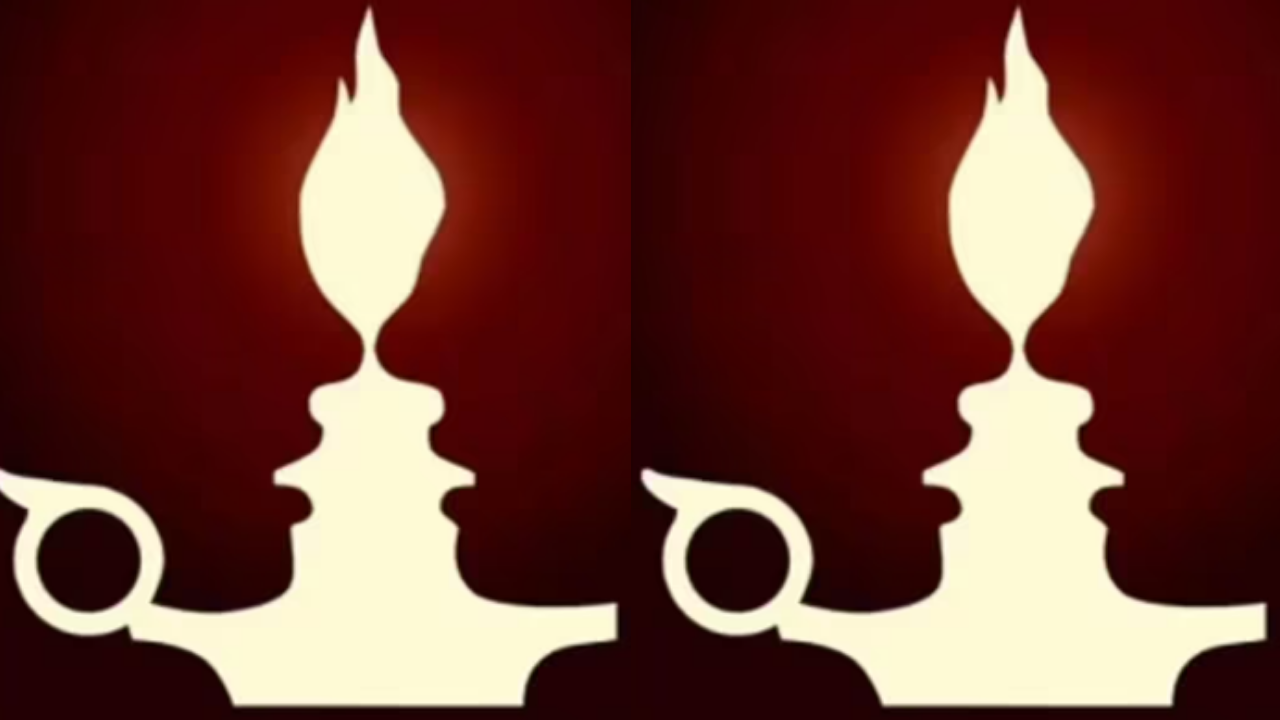 What you see first in this brain-twisting optical illusion reveals if you  are a shy loner or if you are just independent