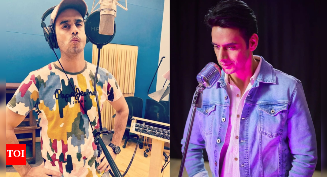 Spy Bahu fame Waseem Mushtaq's upcoming musical short film to create