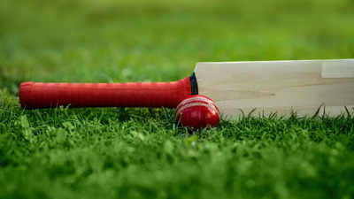 Cricket bats for leather balls: Best picks for players (April, 2024)