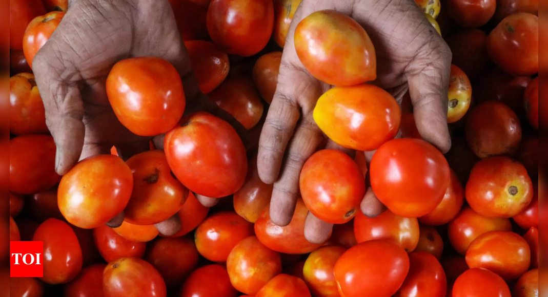 Cooling tomato prices bring down thali rates – Times of India