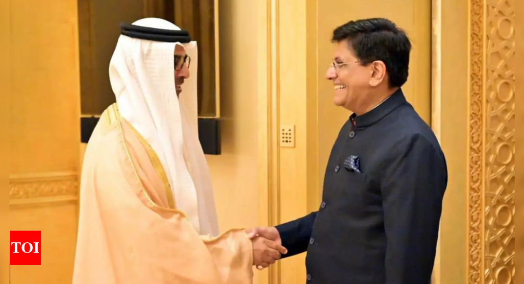India, UAE to expand rupee-dirham trade: Minister of commerce Piyush Goyal – Times of India