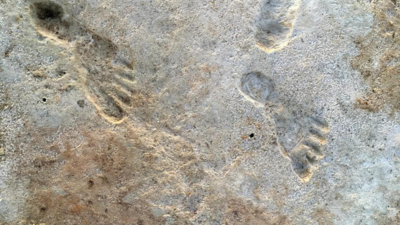 Further evidence points to footprints in New Mexico being the oldest sign of humans in Americas