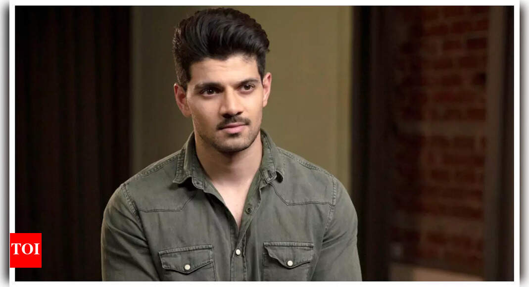 Sooraj Pancholi finds love again