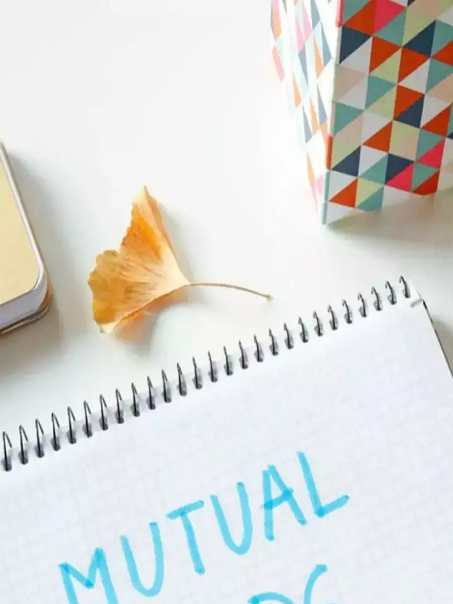 Mutual funds Check out advantages of investing in large cap funds